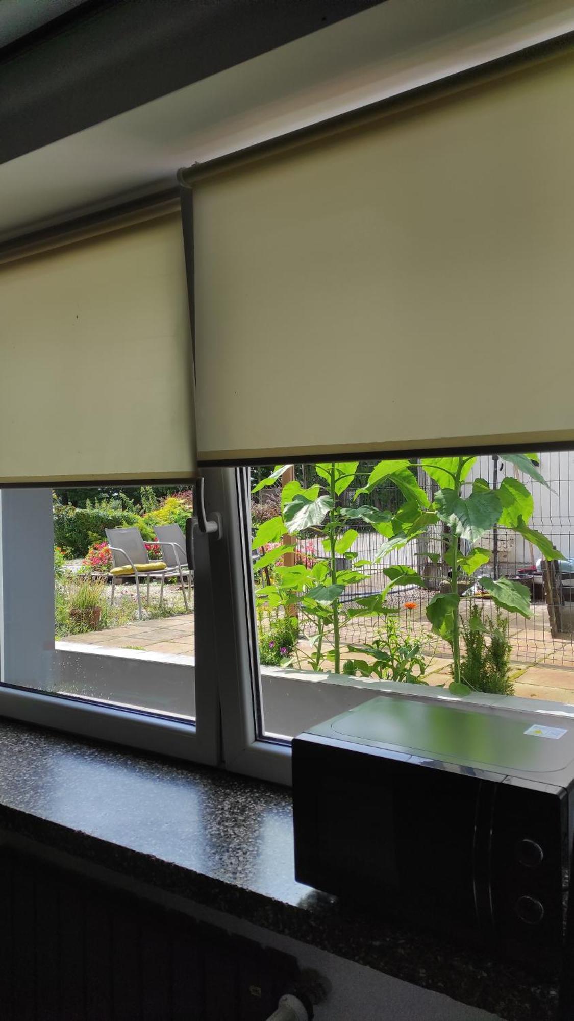 Apartament Dla Pary Stara Szkola Weremowice Bagian luar foto